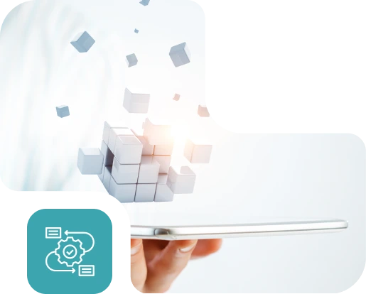 Custom application development hero illustration