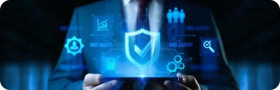 Software testing and validation processes
