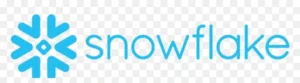 Technology partner logo